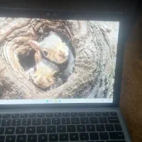 Dell Latitude 7210 2in1|رایانه همراه|تهران, نبی اکرم|دیوار