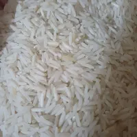 برنج تازه شالیزار/مخصوص پخت عمده و آشپزخانه ها|خوردنی و آشامیدنی|قزوین, |دیوار