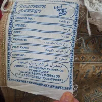 فرش ۹متری.فروش فوری|فرش|بندر انزلی, امامزاده|دیوار