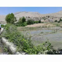 فروش زمین برنجکاری|فروش زمین و ملک کلنگی|ایذه, |دیوار