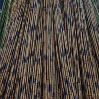 نی خیزران،بامبو|صنایع دستی و سایر لوازم تزئینی|رشت, آتشگاه|دیوار