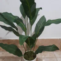 گلدان بزرگ مصنوعی|گل مصنوعی|نسیم‌شهر, |دیوار