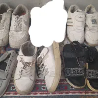 تعدادی کفش