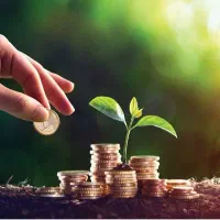 سرمایه گذار هستم