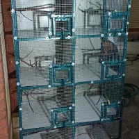 قفس آهنی نو مناسب انواع پرنده