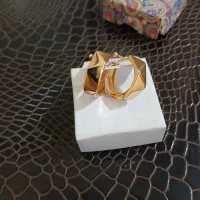 بدیلیجات هندی وژوپینگ
