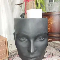 گل آپارتمانی|گل و گیاه طبیعی|تهران, سیمای ایران|دیوار