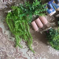 شن عربی گیاه مصنوعی آکواریوم|ماهی|شاهین‌شهر, عطار|دیوار