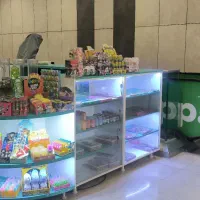 دکور آرایشی و خوراکی|فروشگاه و مغازه|تهران, باغ فیض|دیوار