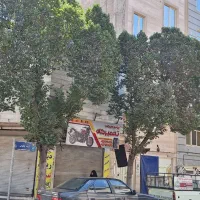 ۱۳۰متر زمین ۲باب مغازه ۲ طبقه مسکونی با جواز ساخت|فروش زمین و ملک کلنگی|تهران, شهرک ولیعصر جنوبی|دیوار