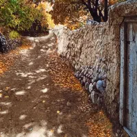 تاباو فرش تبریز|فرش|اراک, |دیوار