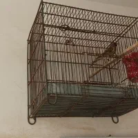 سه عدد سره فروشی