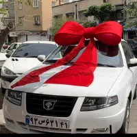 سمند سورن مدل 1404/صفر/اقساطی