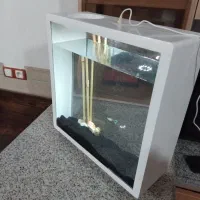 اکواریوم مدرن|ماهی|کرمان, |دیوار