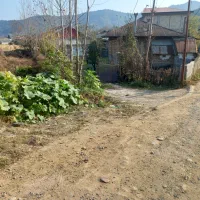 فروش زمین|فروش زمین و ملک کلنگی|اطاقور, |دیوار