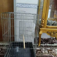 قفس پرنده|لوازم جانبی حیوانات|مرودشت, ابوذر جنوبی|دیوار