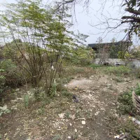 زمین ۲۲۰ متری در آستارا بیجاربین سند تکبرگ|فروش زمین و ملک کلنگی|آستارا, |دیوار