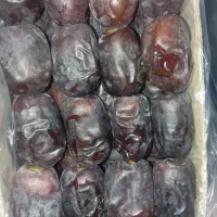 خرما بلوچستان|خوردنی و آشامیدنی|مشهد, کوشش|دیوار