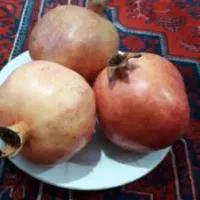 انار شیرین  درجه یک زاغمرز