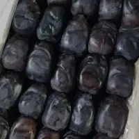 خرمای مضافتی بم