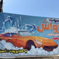کار ساده کارواش