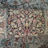 پادری قالیچه|پادری|کرمانشاه, |دیوار