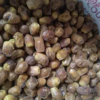 خرمازاهدی|عمده‌فروشی|اهواز, زیتون کارمندی|دیوار