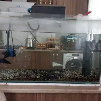 حراج وسایل منزل|حراج|قزوین, |دیوار