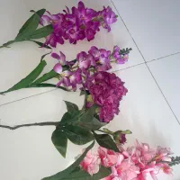 گل مصنوعی|گل مصنوعی|همدان, |دیوار