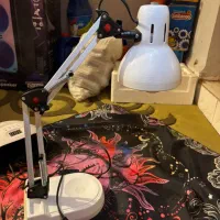 چراغ مطالعه|لامپ و چراغ|سقز, |دیوار