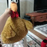 عروسک|اسباببازی بچه|قم, شهرک فاطمیه|دیوار