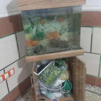 آکواریوم شیشه خم