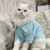 جفتگیری گربه نر