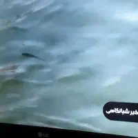 ال سی دی  ۳۷ اینج ال جی