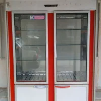 الکتروامین