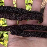 انوع نهال مرکبات و انبه و میوه های گرم سیری|خدمات باغبانی و درختکاری|بندرعباس, |دیوار