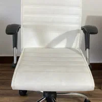 صندلی چرخدار