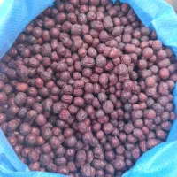 عناب 250و 350نخرید کیلویی150 ازبزرگترین مرکز فروش|عمده‌فروشی|تهران, پردیسان|دیوار