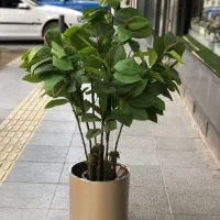 درخت و درختچه های مصنوعی