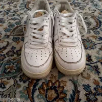 کتانی مردانه سایز ۴۲|کیف، کفش، کمربند|ساری, |دیوار