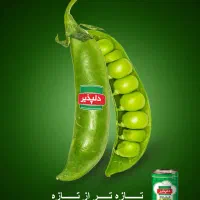عکاس و فیلمبردار|خدمات رایانه‌ای و موبایل|تهران, پرستار|دیوار
