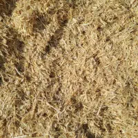 کاه گندم|خدمات باغبانی و درختکاری|مرودشت, ثبت احوال|دیوار