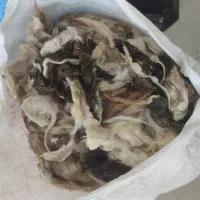 پشم گوسفند ، «گوزم»