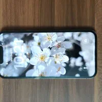 گوشی آیفون 13پرو یک ترا