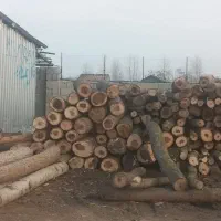 خرید چوب|خدمات باغبانی و درختکاری|رودسر, |دیوار