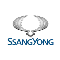 لوازم سانگ یانگ تیوولی نیوکوراندو موسو