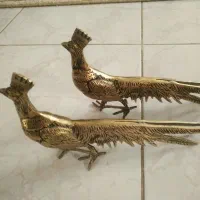 دو عدد طاووس بزنز