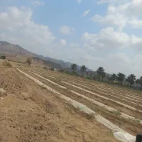 فروش ۲ هکتار زمین کشاورزی با آب. نزدیک خیابان