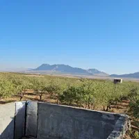 باغ/بادام مامایی/مجوزساخت/استخر/سند|فروش دفتر صنعتی، کشاورزی، تجاری|بن, |دیوار