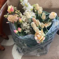 گل و‌گیاه سبز